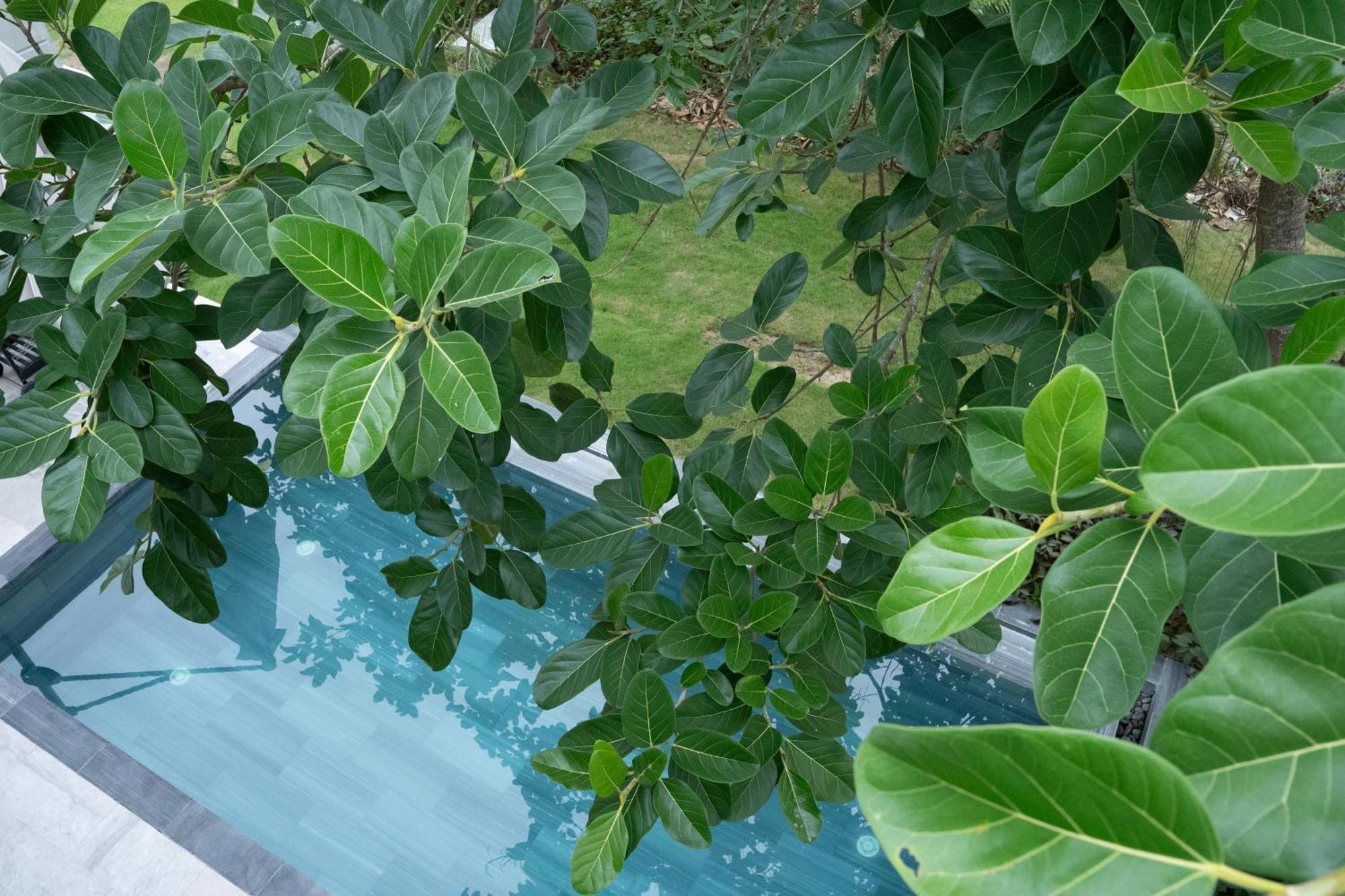 "Brg Golf Club" - Danang Private Pool Villa 3 Bedrooms #3 외부 사진